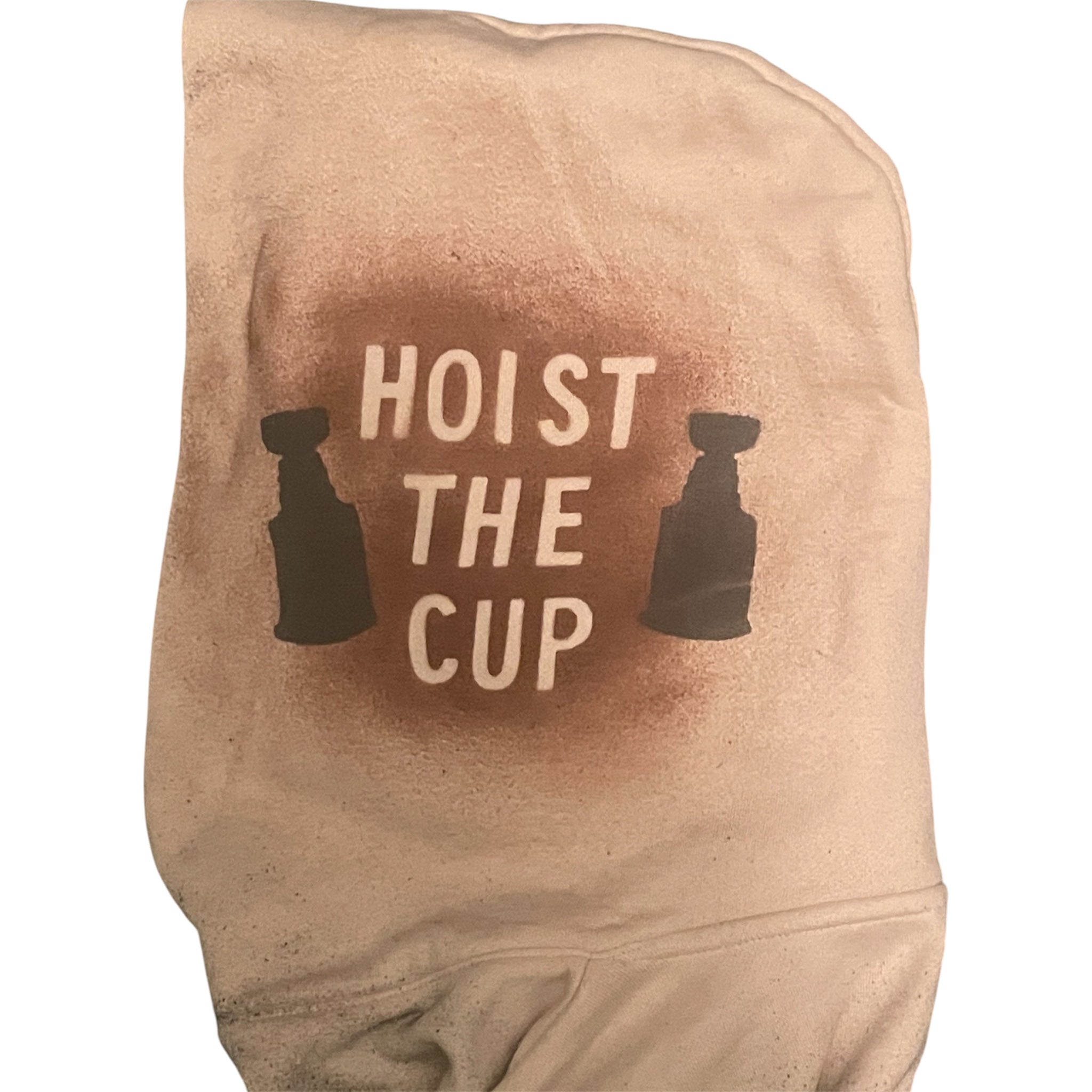 Boston Bruins Stanley Cup Championship Hoodie “Hoist the Cup”