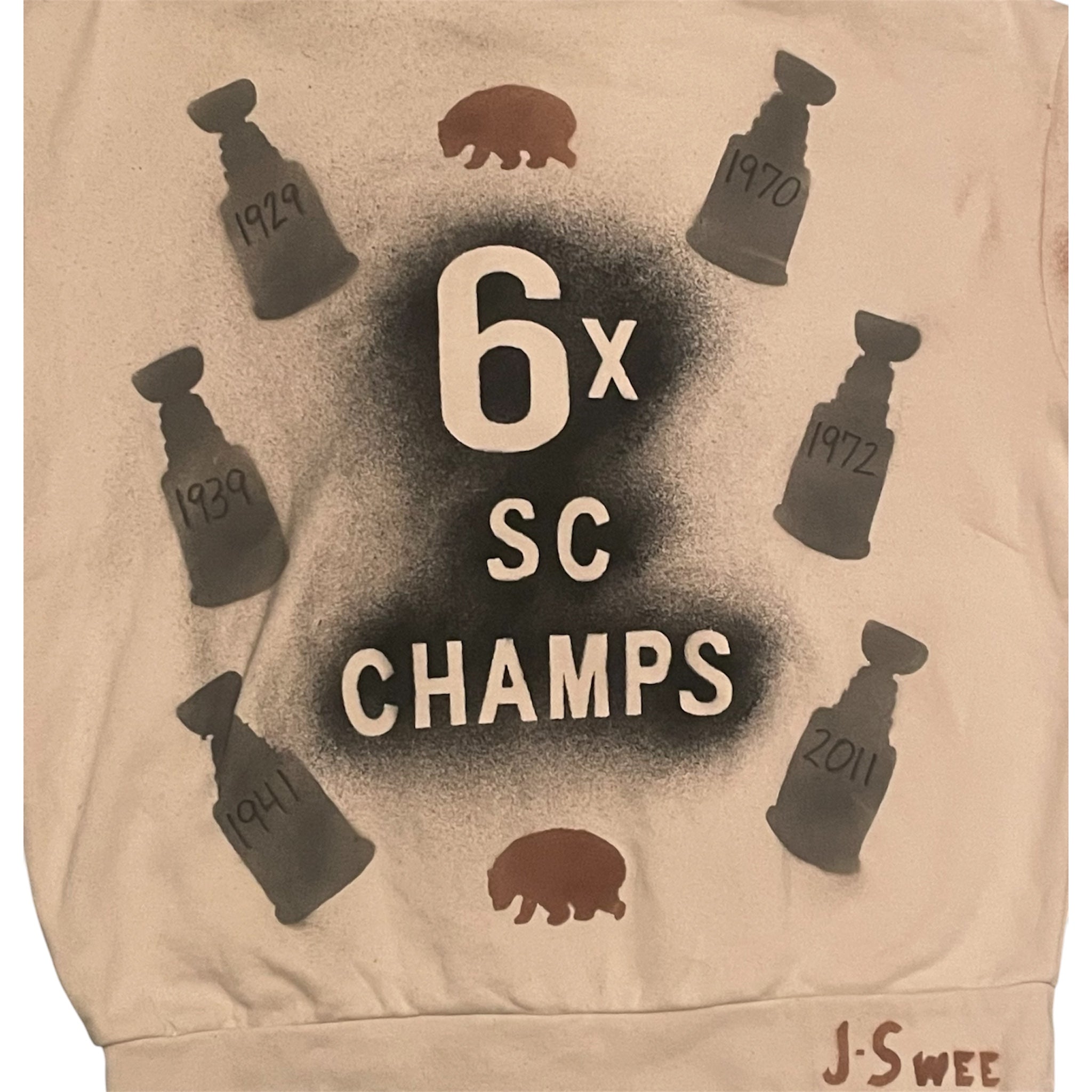 Boston Bruins Stanley Cup Championship Hoodie “Hoist the Cup”